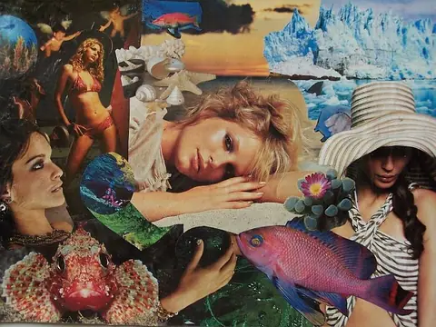 Collage e ilustración
