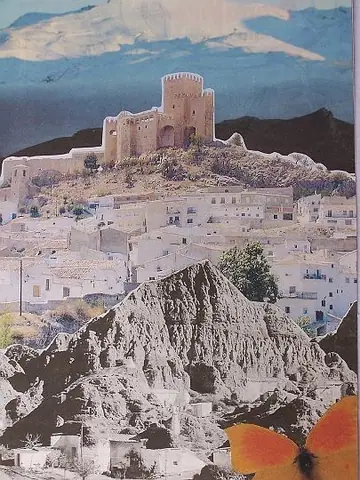 Collage e ilustración